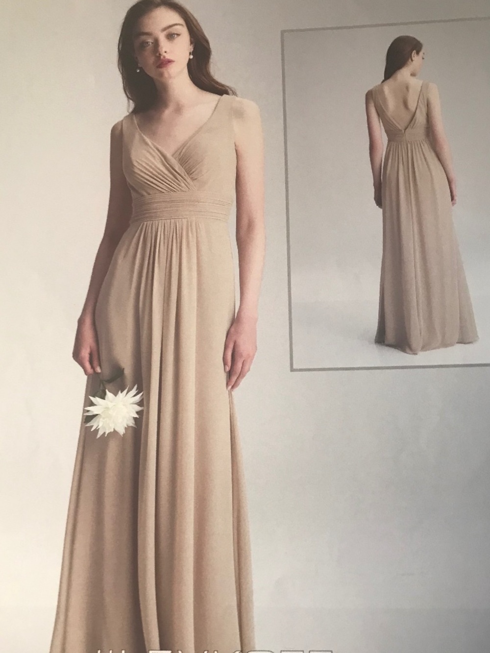 BILL LEVKOFF CHAMPAGNE CHIFFON GOWN SIZE 10